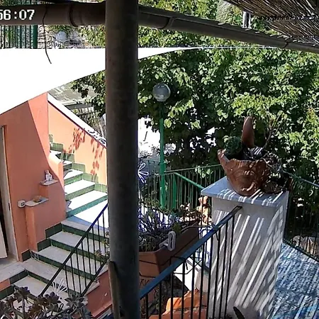 Casa Pesce Rent Vendégház Ischia